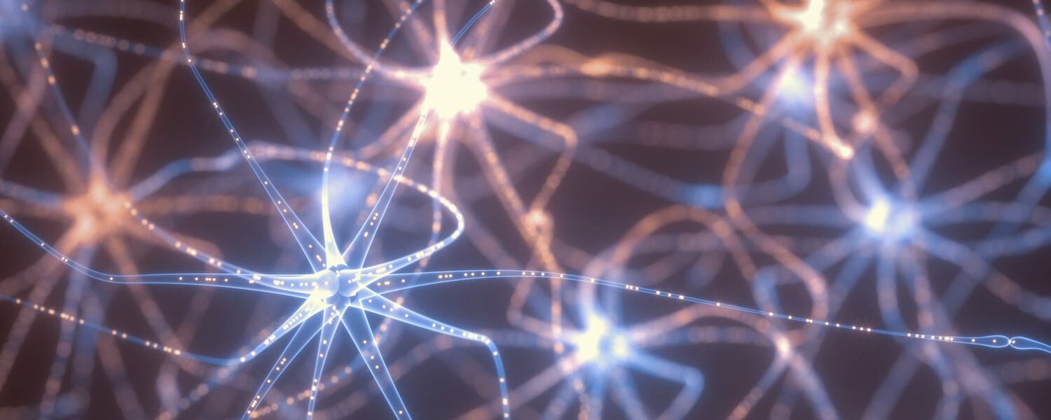 rete di neuroni l'intelligenza artificiale influenza le nostre vite così