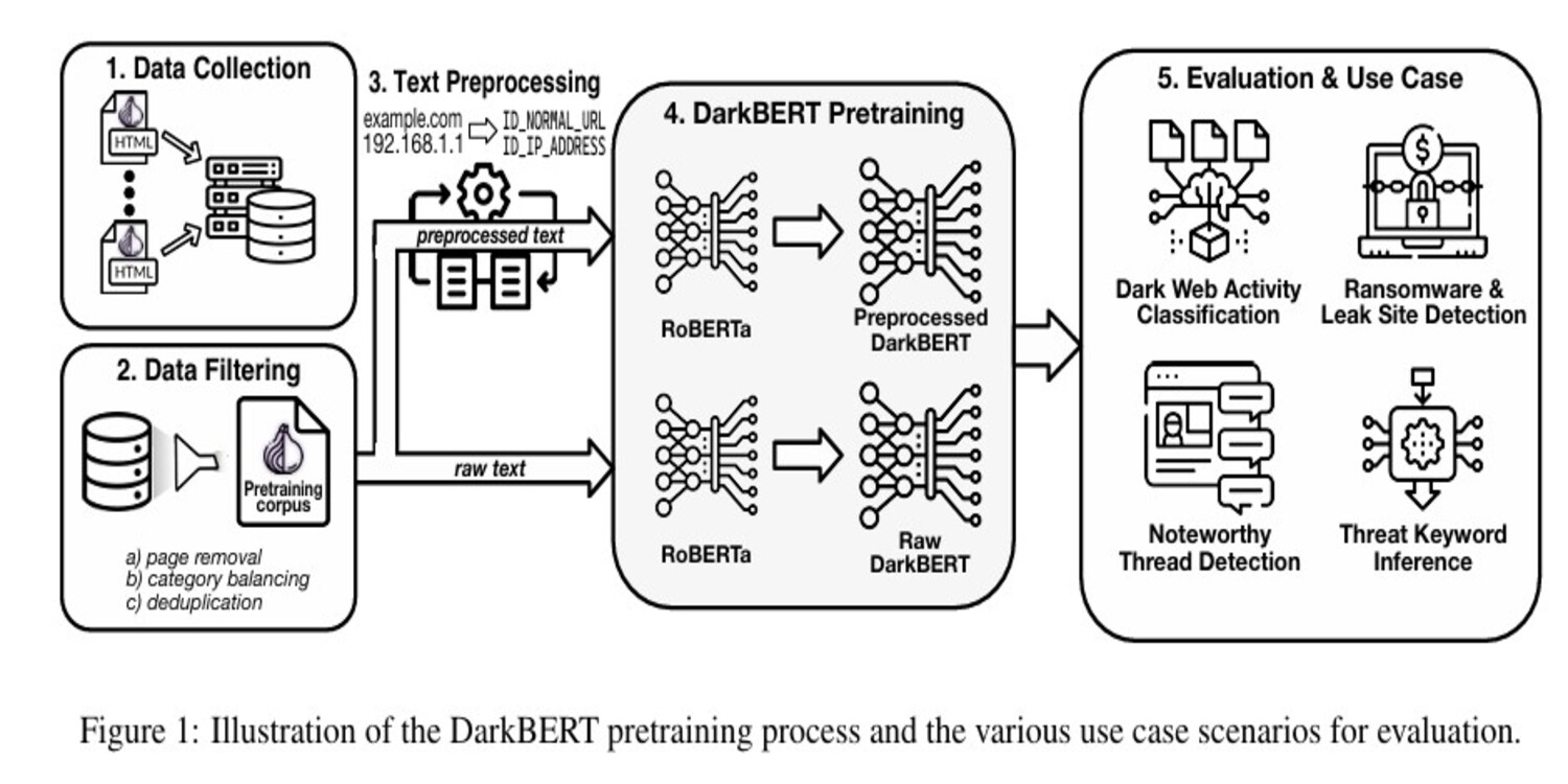 illustrazione paper sicurezza informatica funzionamento darkbert